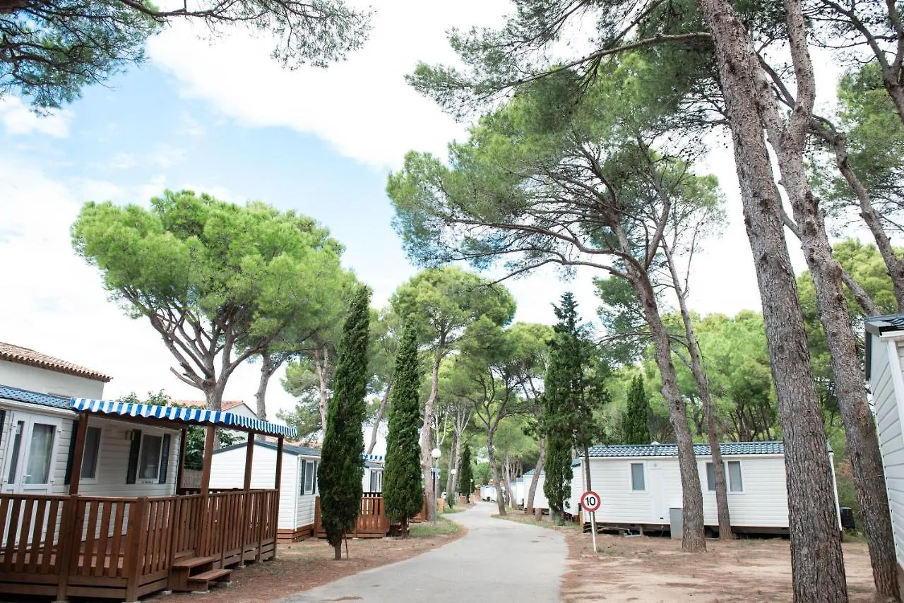 Albatross Mobile Homes On Camping Lacus L' Escala Espagne